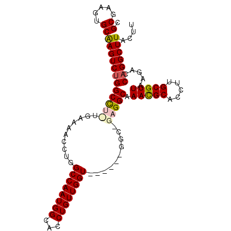 secondary structure