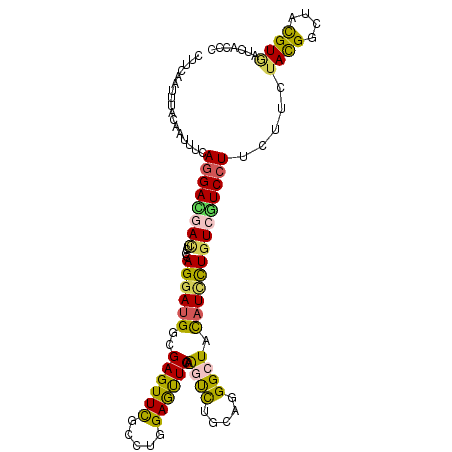 secondary structure