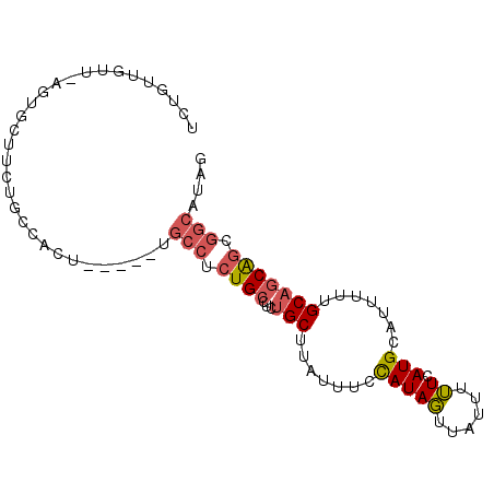 secondary structure