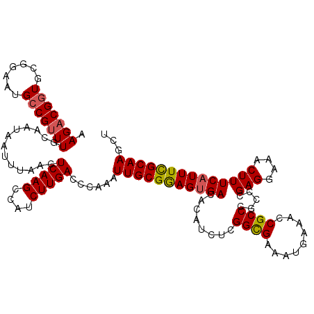 secondary structure
