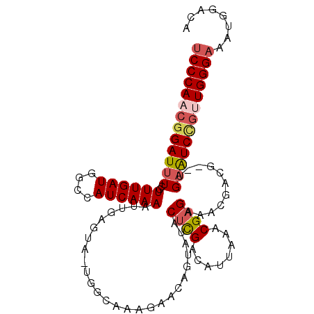 secondary structure