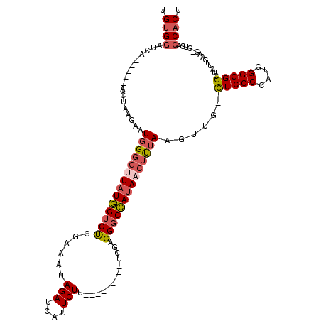 secondary structure