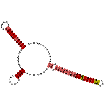 secondary structure