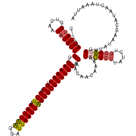 secondary structure