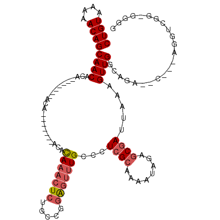 secondary structure
