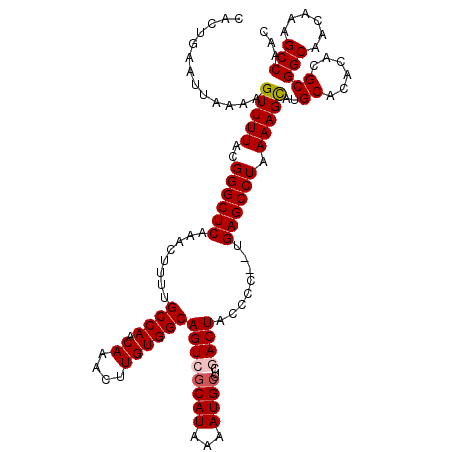secondary structure