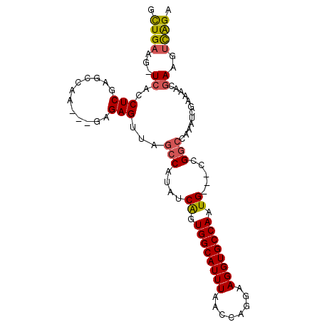 secondary structure