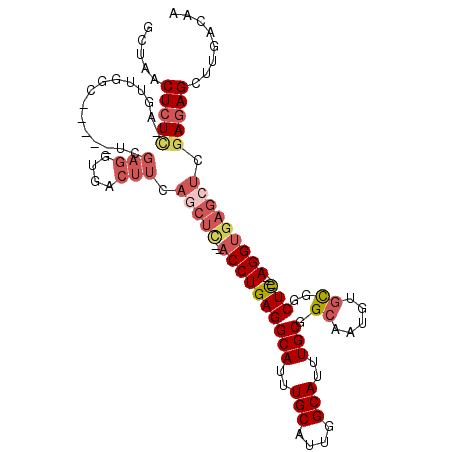 secondary structure