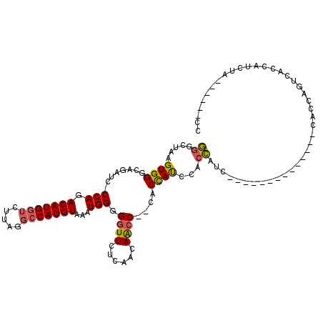 secondary structure
