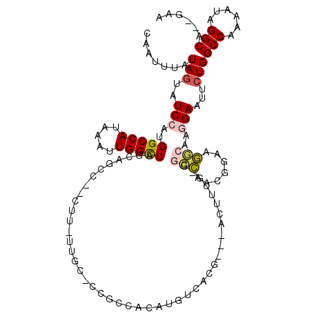 secondary structure