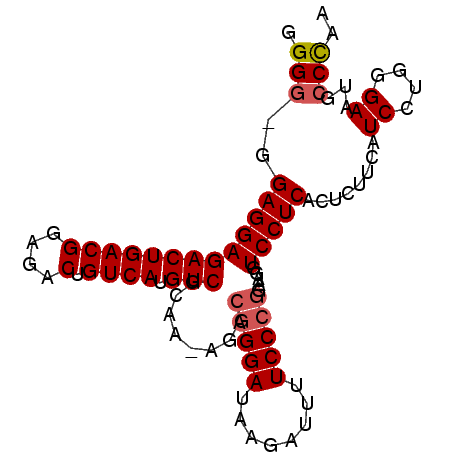 secondary structure