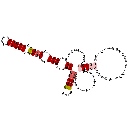 secondary structure