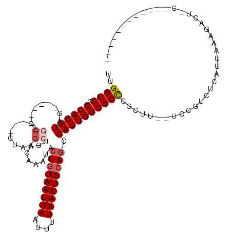 secondary structure