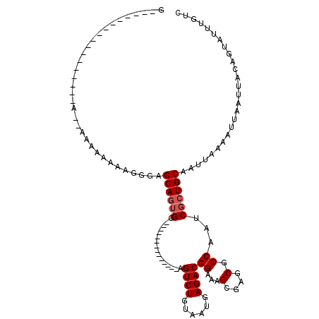 secondary structure