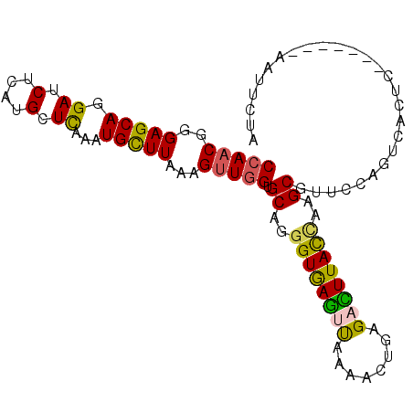 secondary structure