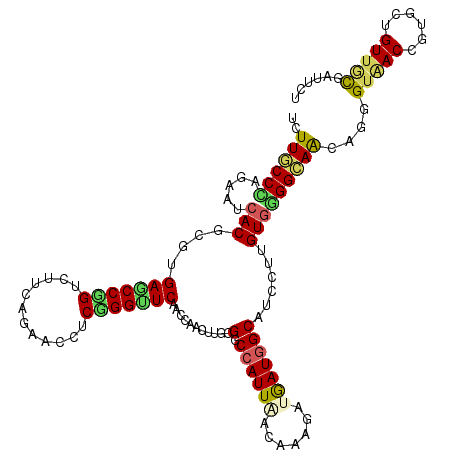 secondary structure