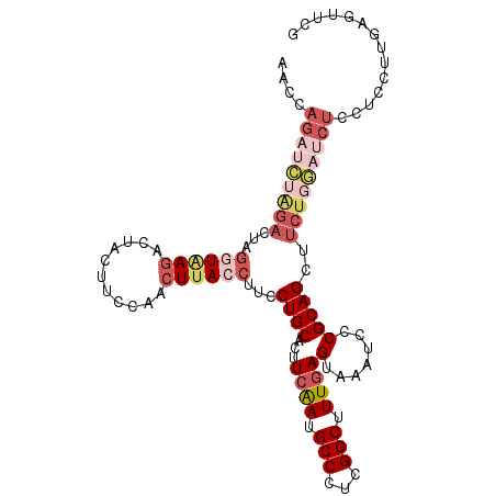 secondary structure