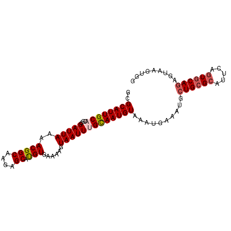 secondary structure