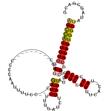 secondary structure