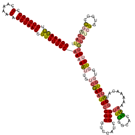secondary structure