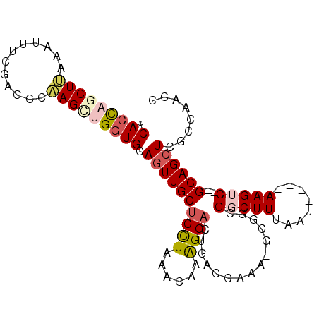 secondary structure