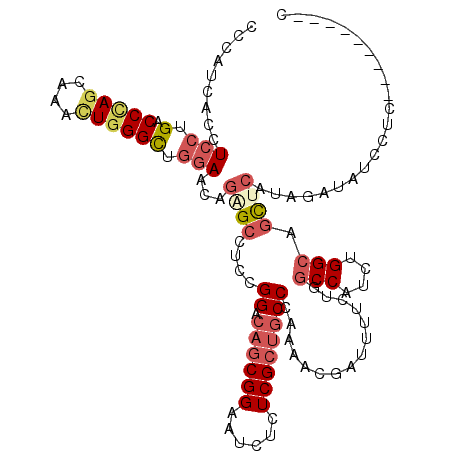 secondary structure