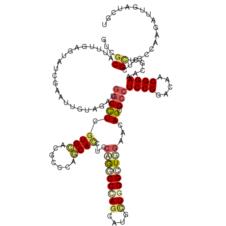 secondary structure