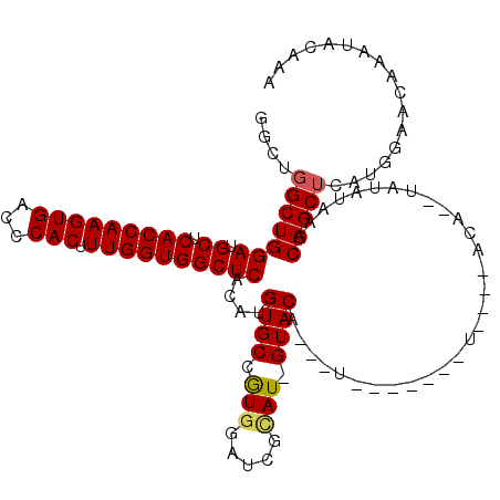 secondary structure