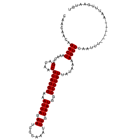 secondary structure