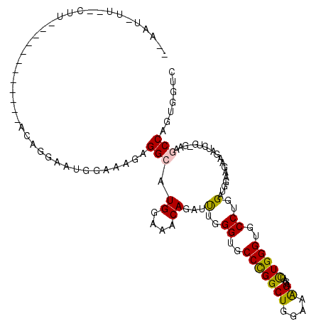 secondary structure