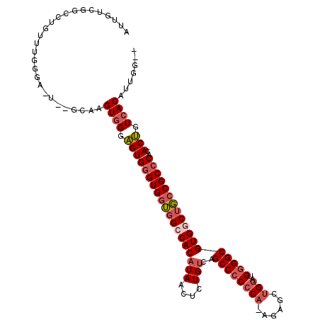 secondary structure