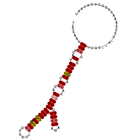 secondary structure