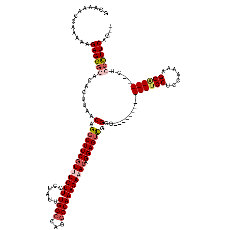 secondary structure