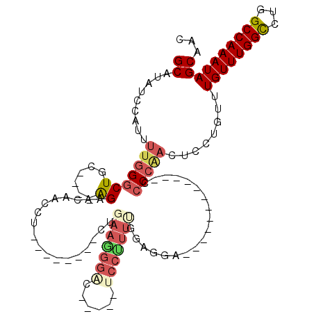 secondary structure