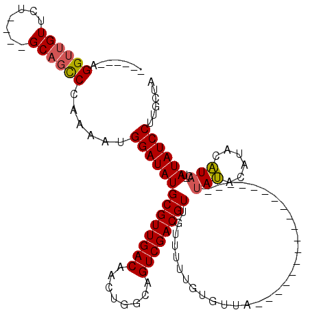 secondary structure