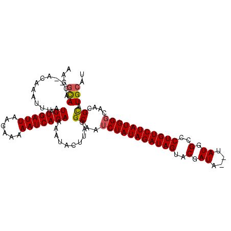 secondary structure