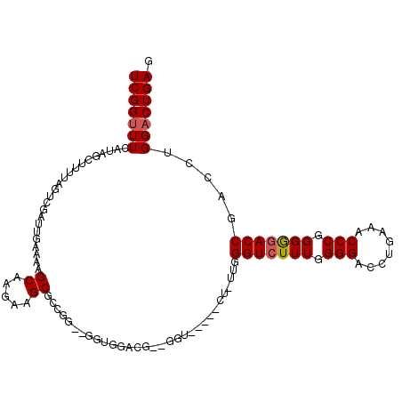 secondary structure