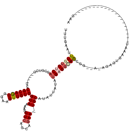 secondary structure