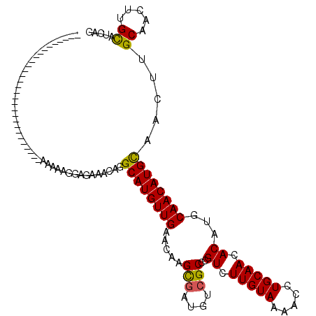 secondary structure