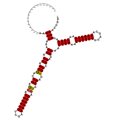 secondary structure