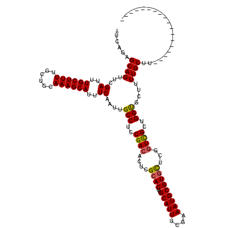 secondary structure