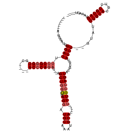 secondary structure