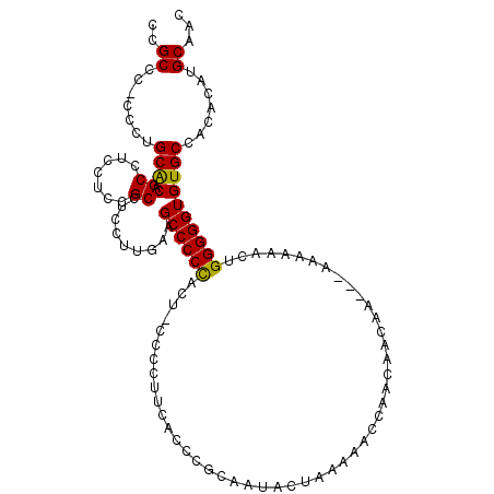 secondary structure
