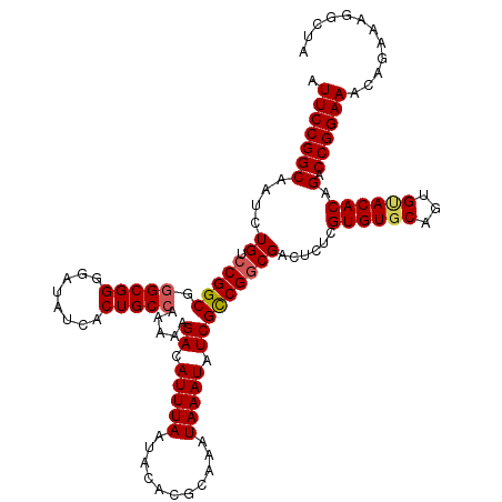 secondary structure