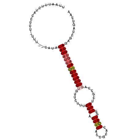 secondary structure