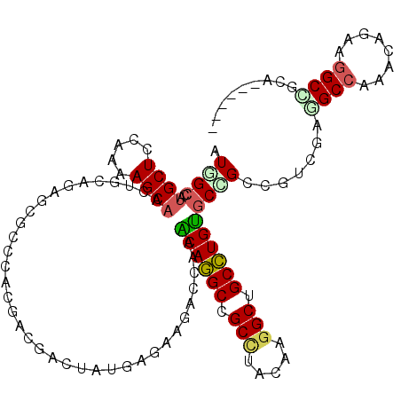secondary structure