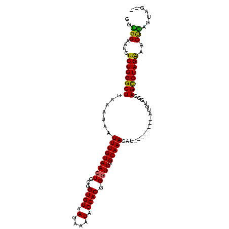 secondary structure