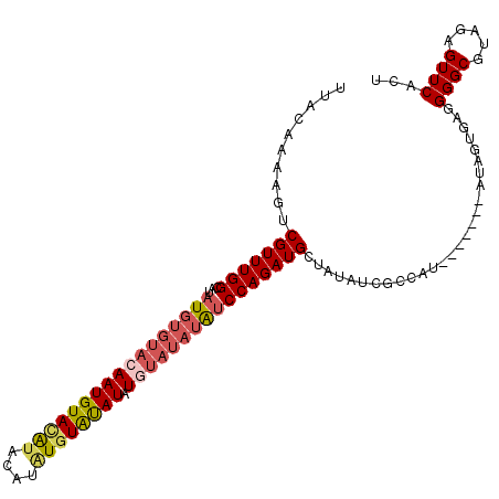 secondary structure