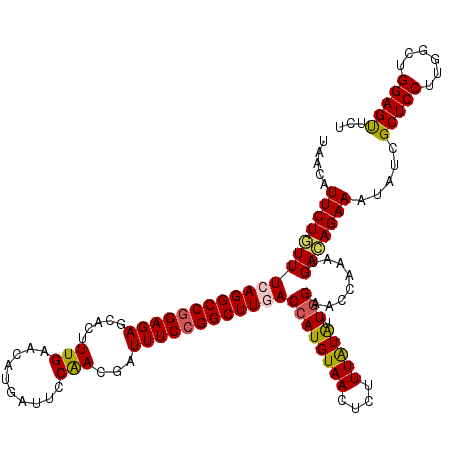 secondary structure