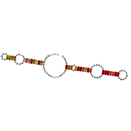 secondary structure